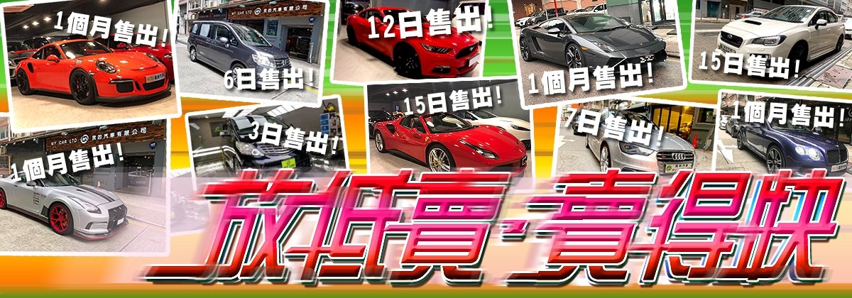 Banner 10 - Professional Team